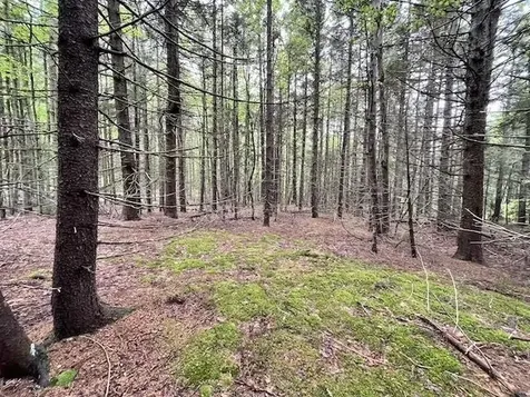 0 Honeycomb Hill Marlboro VT 05344