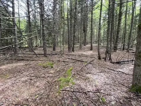 0 Honeycomb Hill Marlboro VT 05344