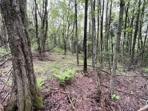 0 Honeycomb Hill Marlboro VT 05344