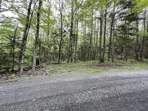 0 Honeycomb Hill Marlboro VT 05344