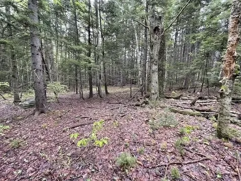 0 Honeycomb Hill Marlboro VT 05344