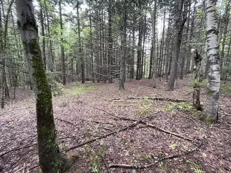 0 Honeycomb Hill Marlboro VT 05344