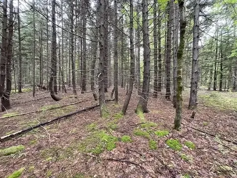 0 Honeycomb Hill Marlboro VT 05344