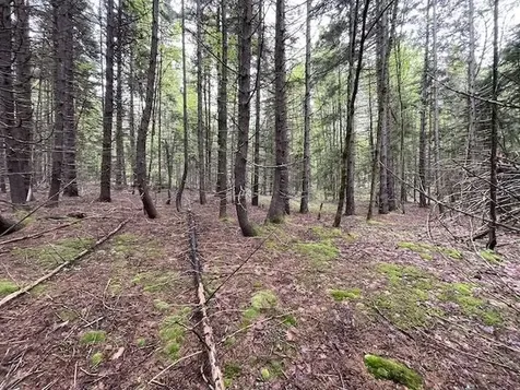 0 Honeycomb Hill Marlboro VT 05344