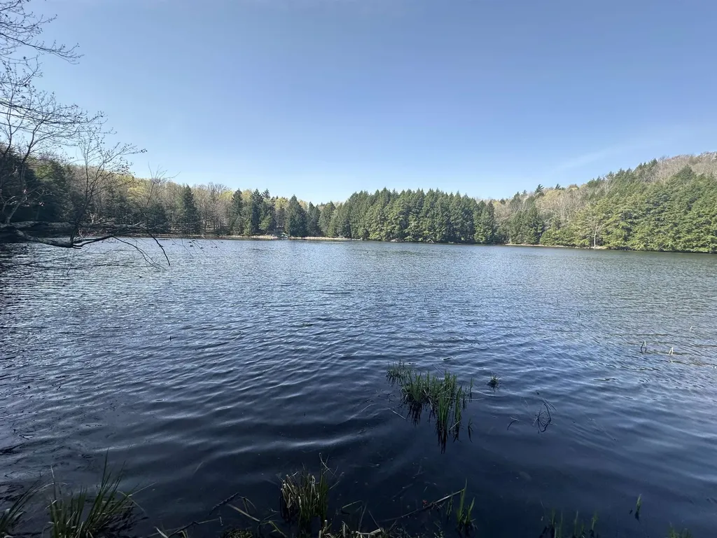 603 Anderson Drive Hubbardton VT 05743