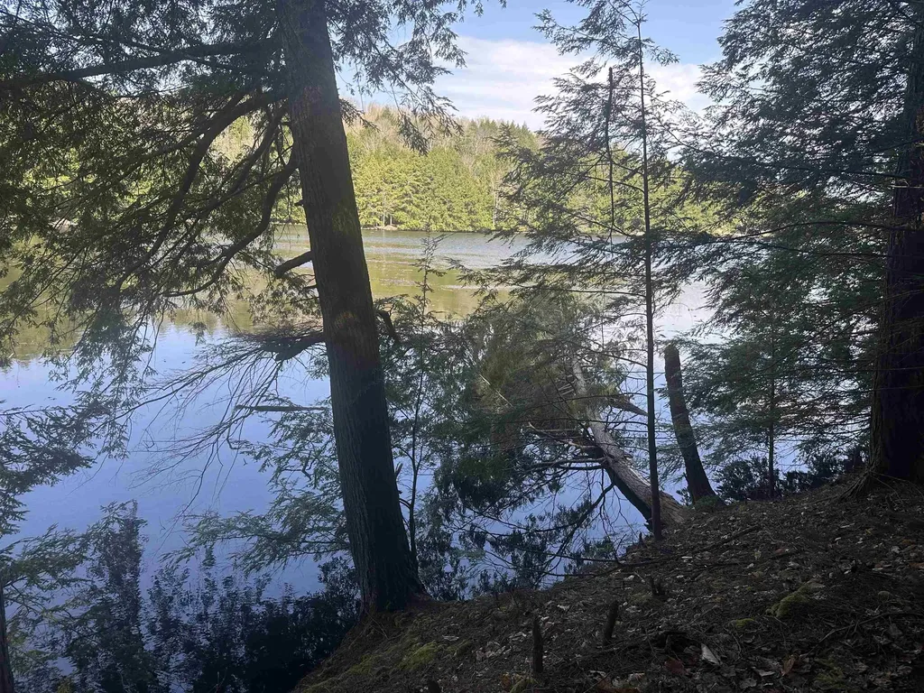 603 Anderson Drive Hubbardton VT 05743