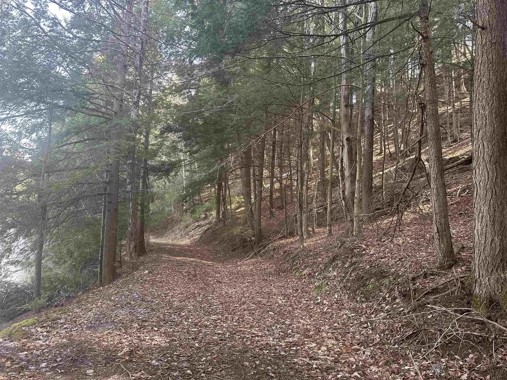 603 Anderson Drive Hubbardton VT 05743