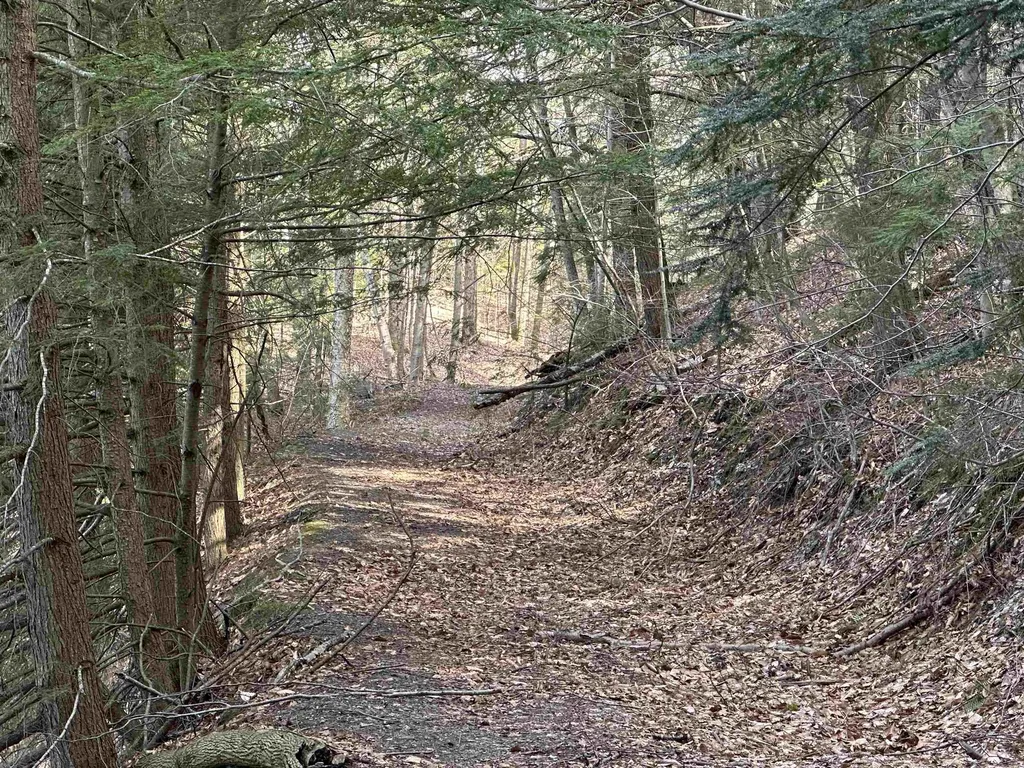 603 Anderson Drive Hubbardton VT 05743