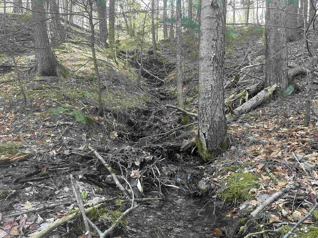 603 Anderson Drive Hubbardton VT 05743