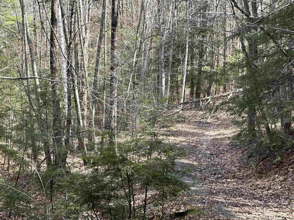 603 Anderson Drive Hubbardton VT 05743