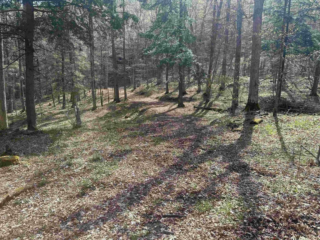 603 Anderson Drive Hubbardton VT 05743