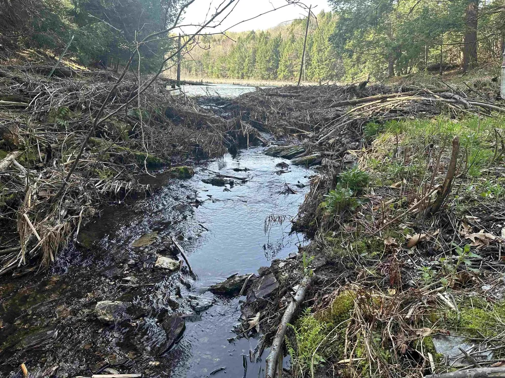 603 Anderson Drive Hubbardton VT 05743