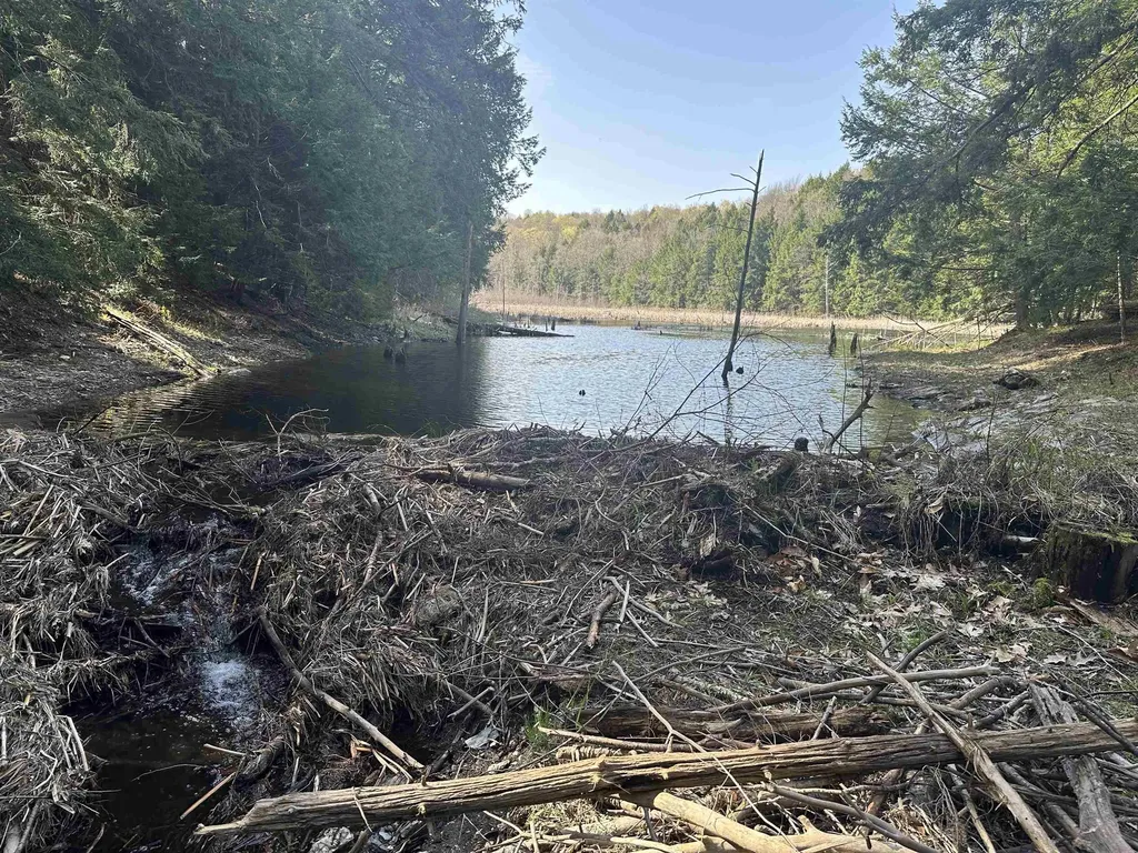 603 Anderson Drive Hubbardton VT 05743