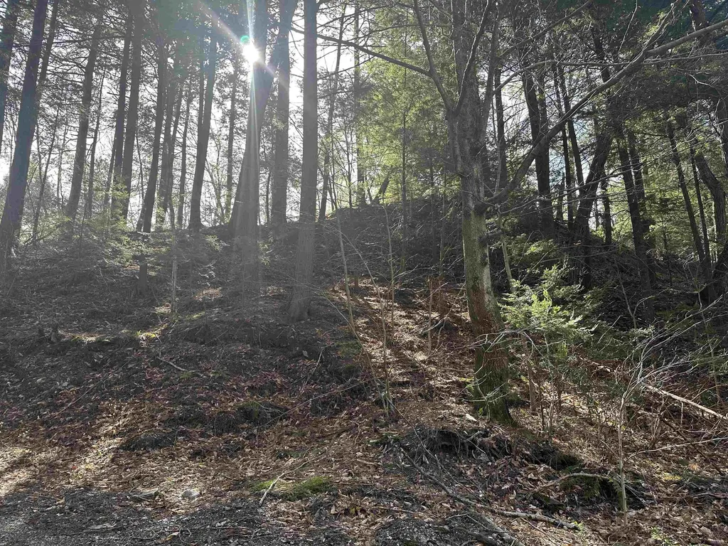 603 Anderson Drive Hubbardton VT 05743