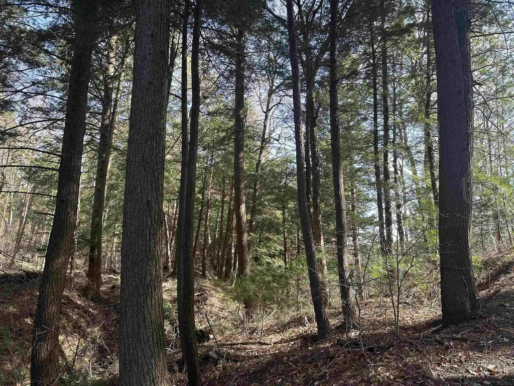 603 Anderson Drive Hubbardton VT 05743