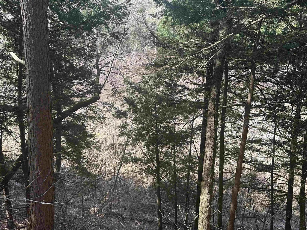 603 Anderson Drive Hubbardton VT 05743