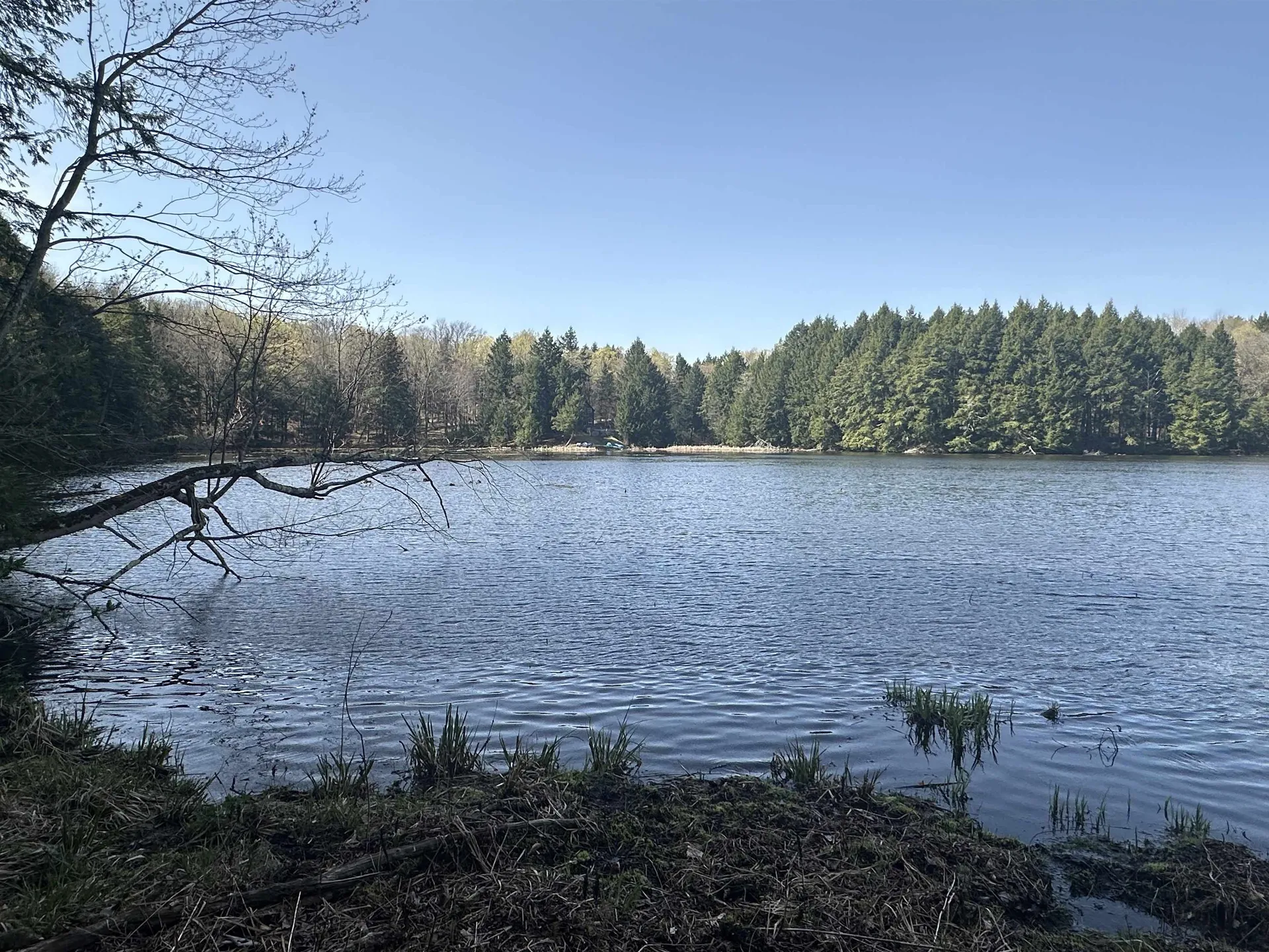 603 Anderson Drive Hubbardton VT 05743