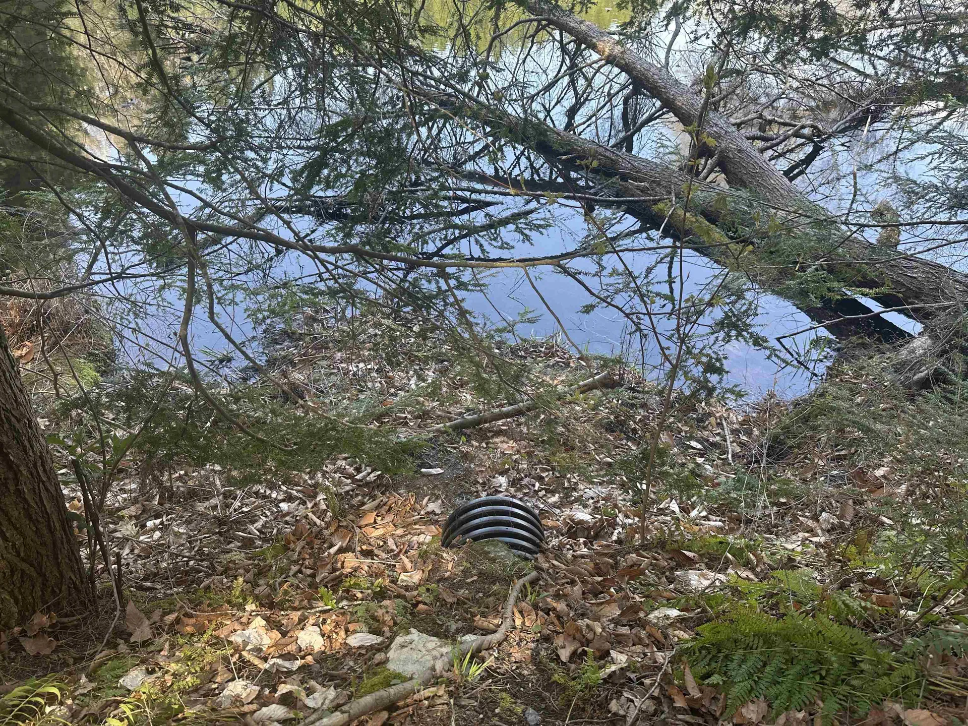 603 Anderson Drive Hubbardton VT 05743