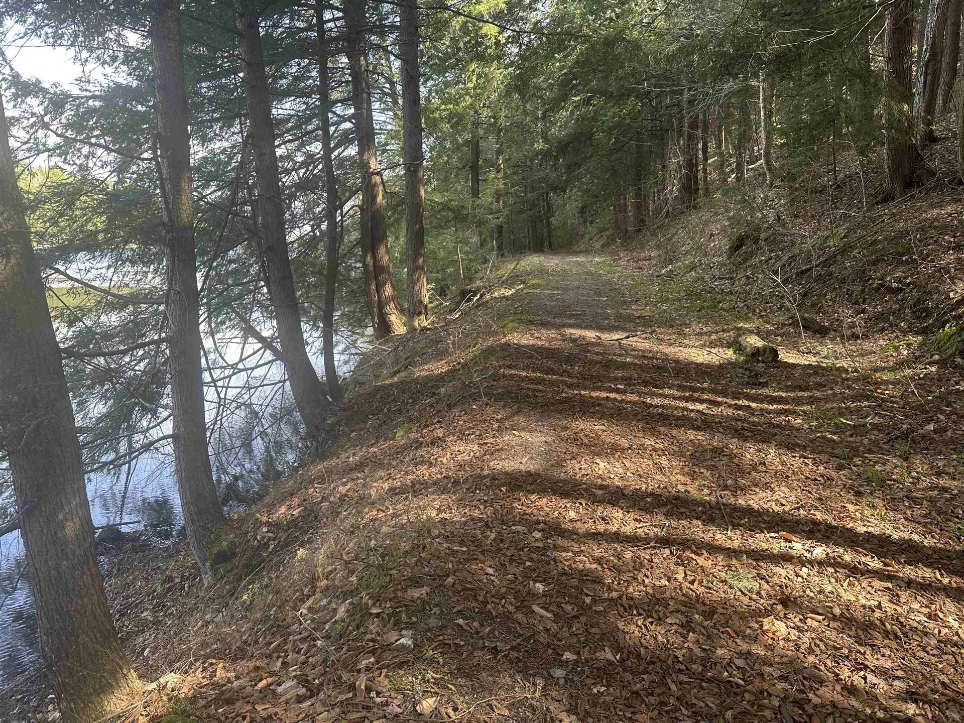 603 Anderson Drive Hubbardton VT 05743