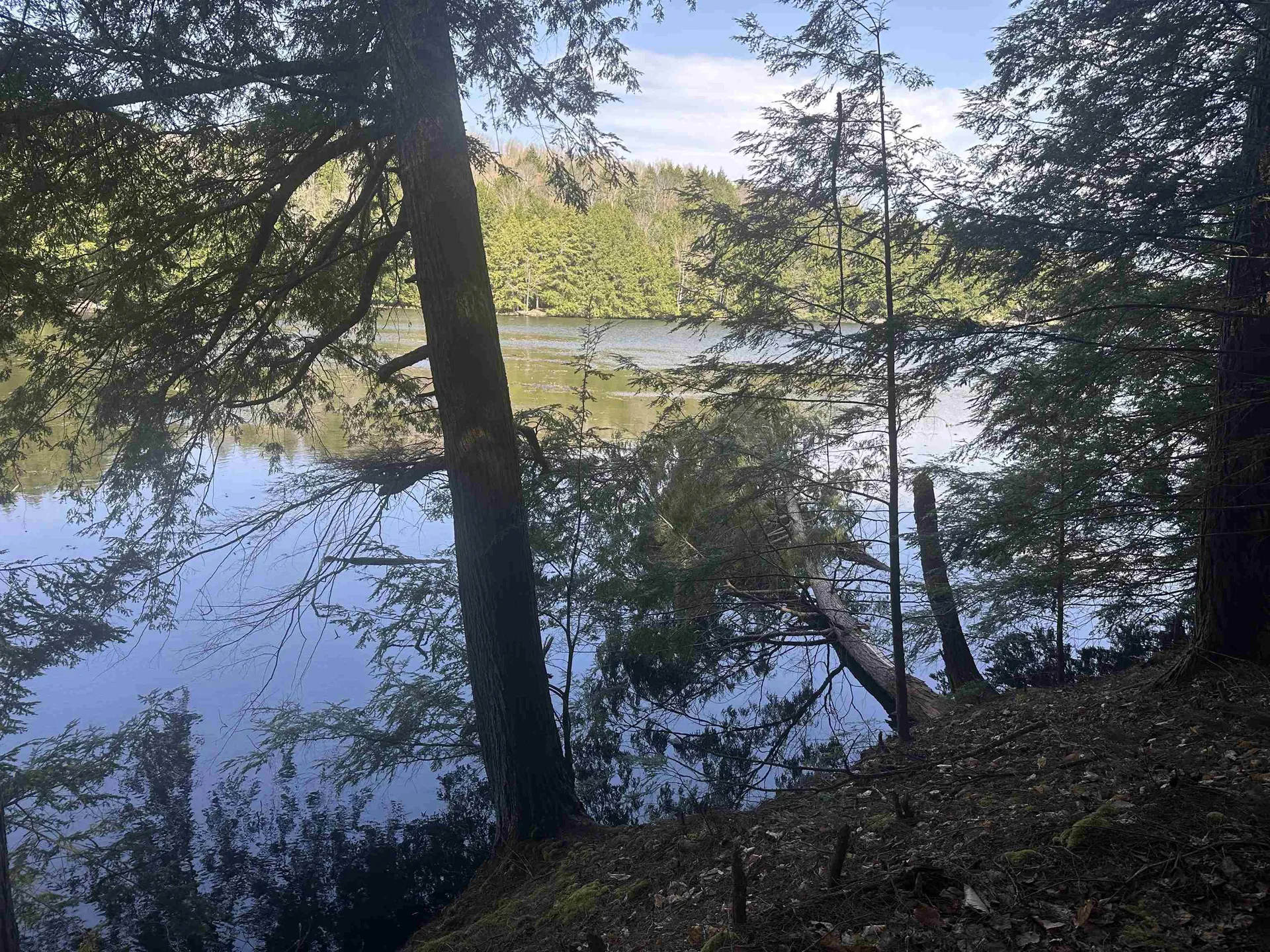 603 Anderson Drive Hubbardton VT 05743