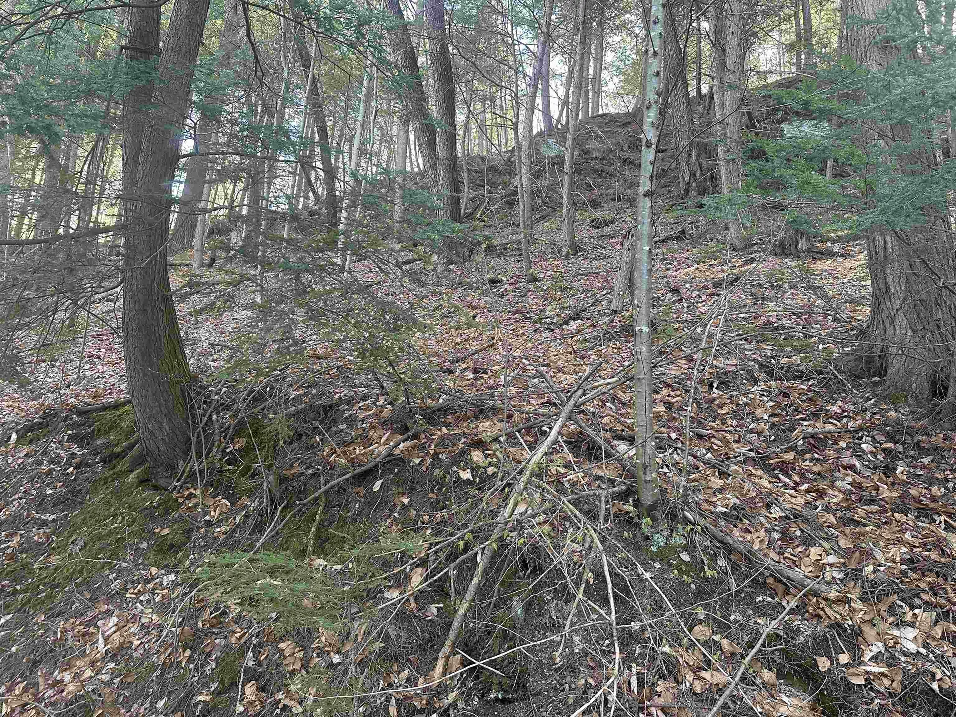 603 Anderson Drive Hubbardton VT 05743