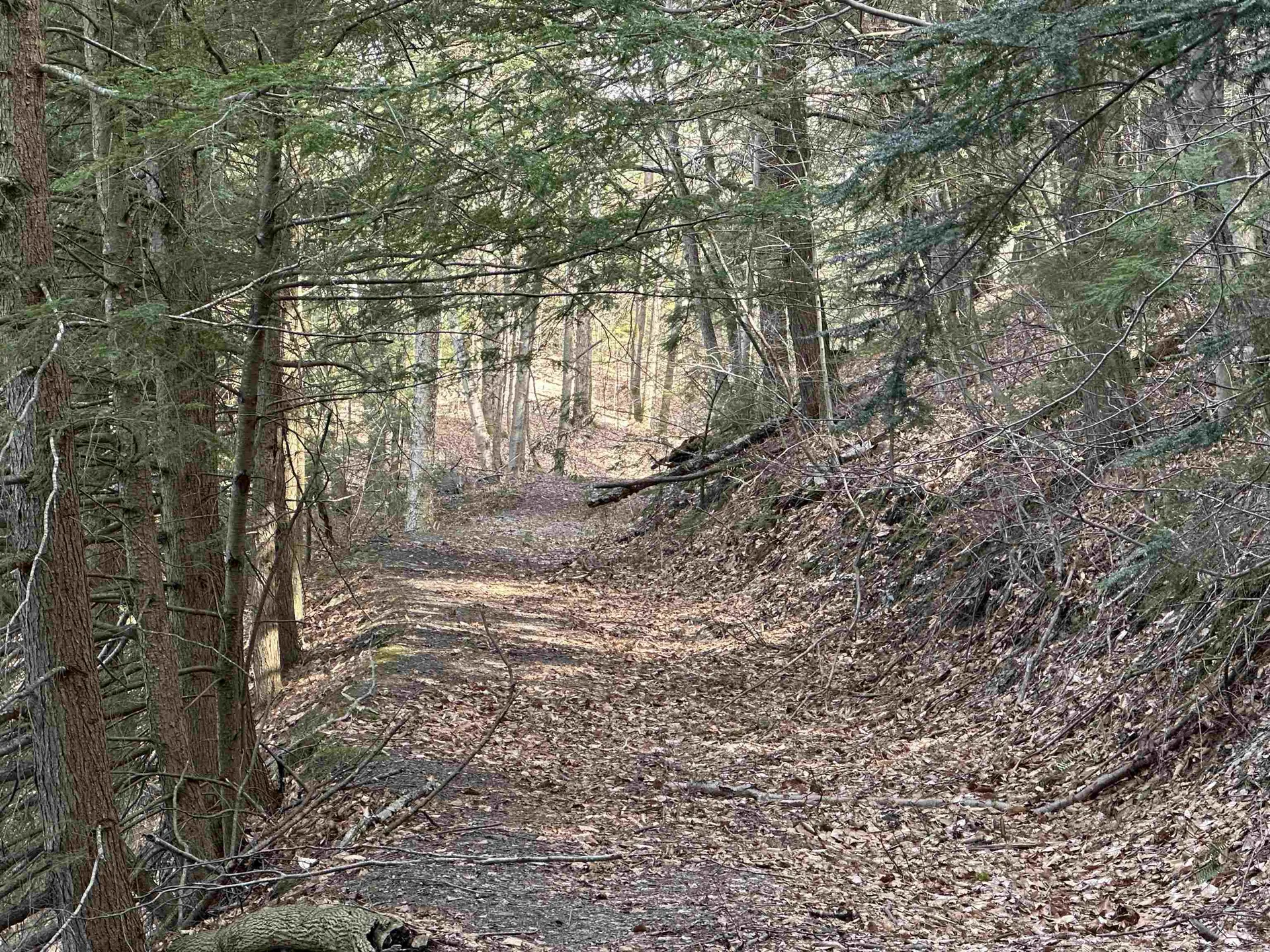 603 Anderson Drive Hubbardton VT 05743