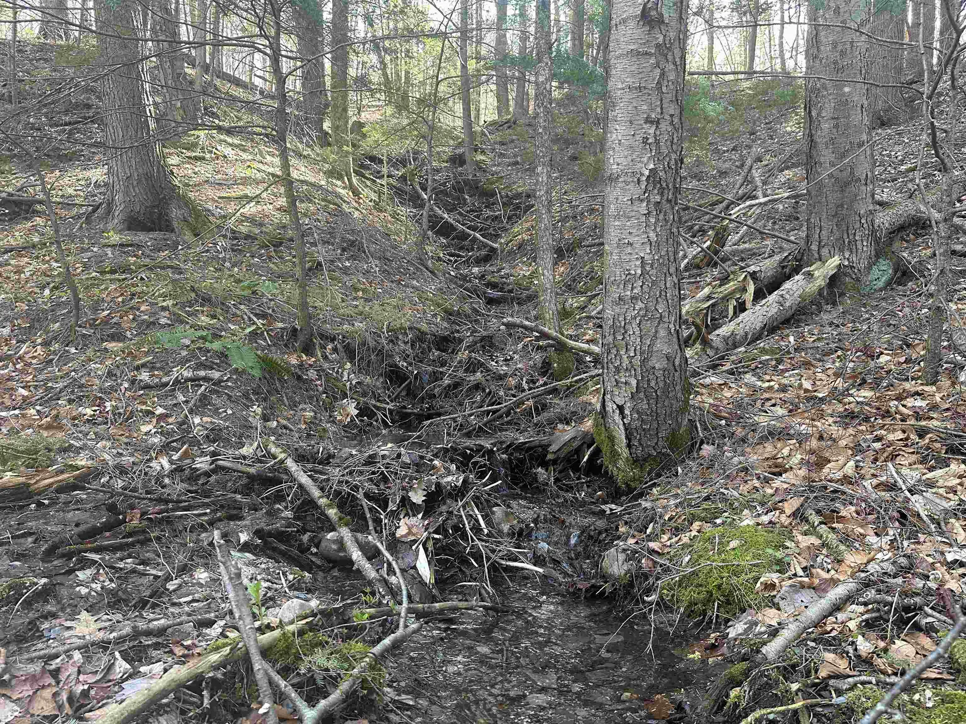 603 Anderson Drive Hubbardton VT 05743