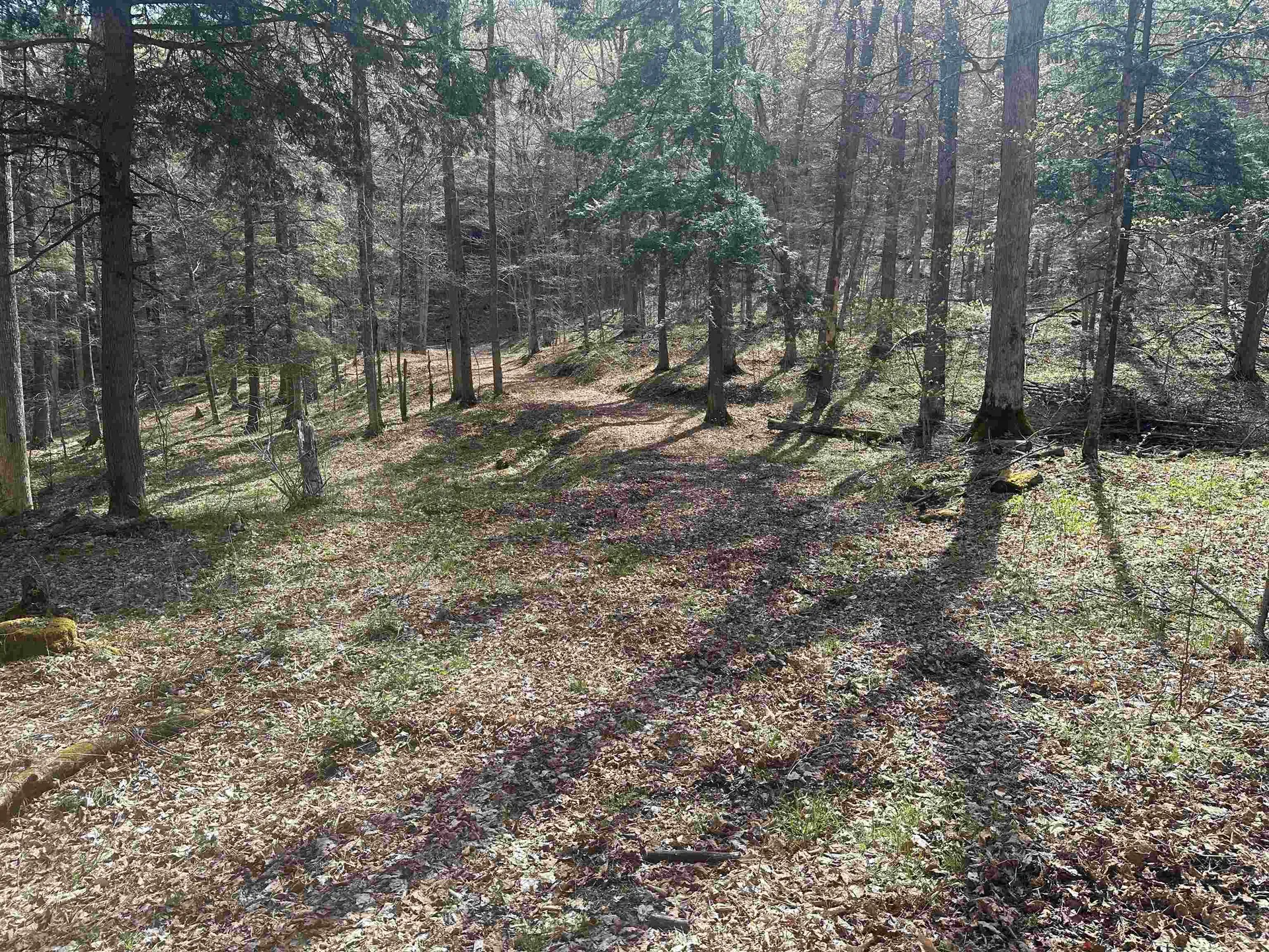 603 Anderson Drive Hubbardton VT 05743