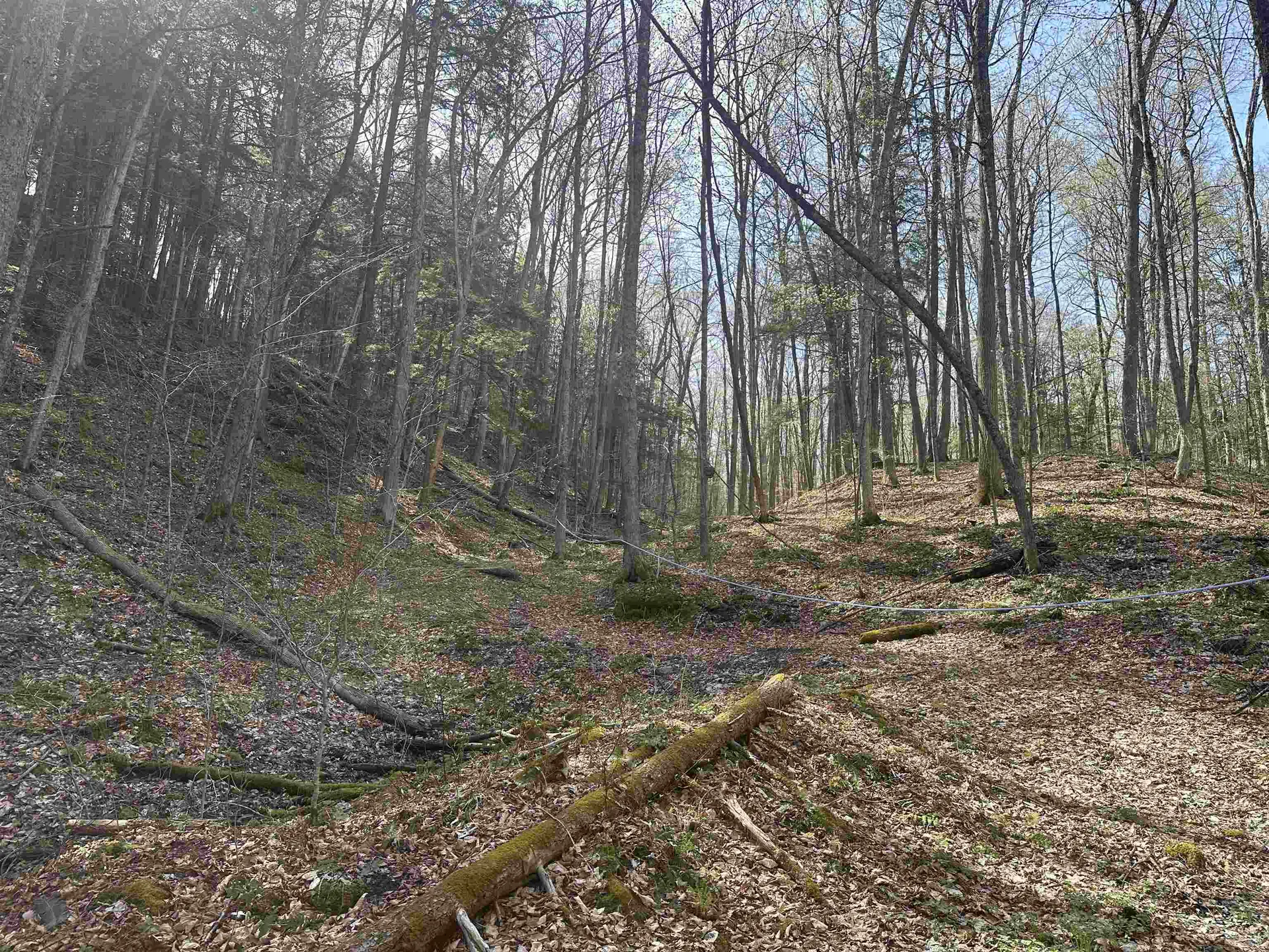 603 Anderson Drive Hubbardton VT 05743