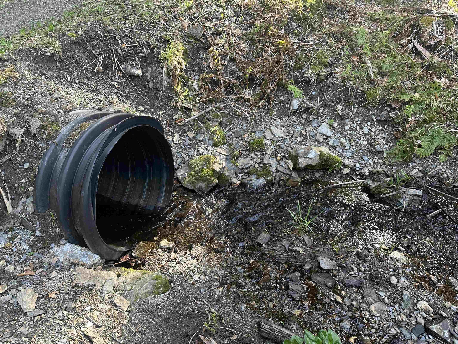 603 Anderson Drive Hubbardton VT 05743