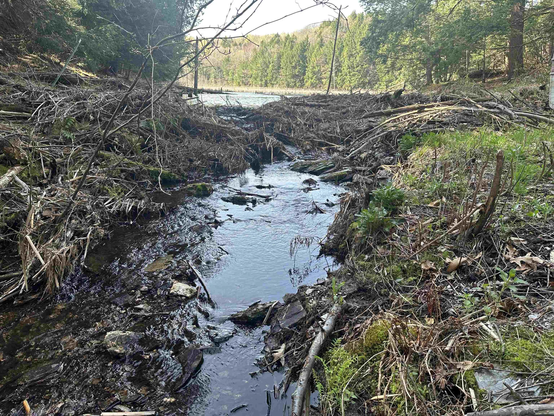 603 Anderson Drive Hubbardton VT 05743