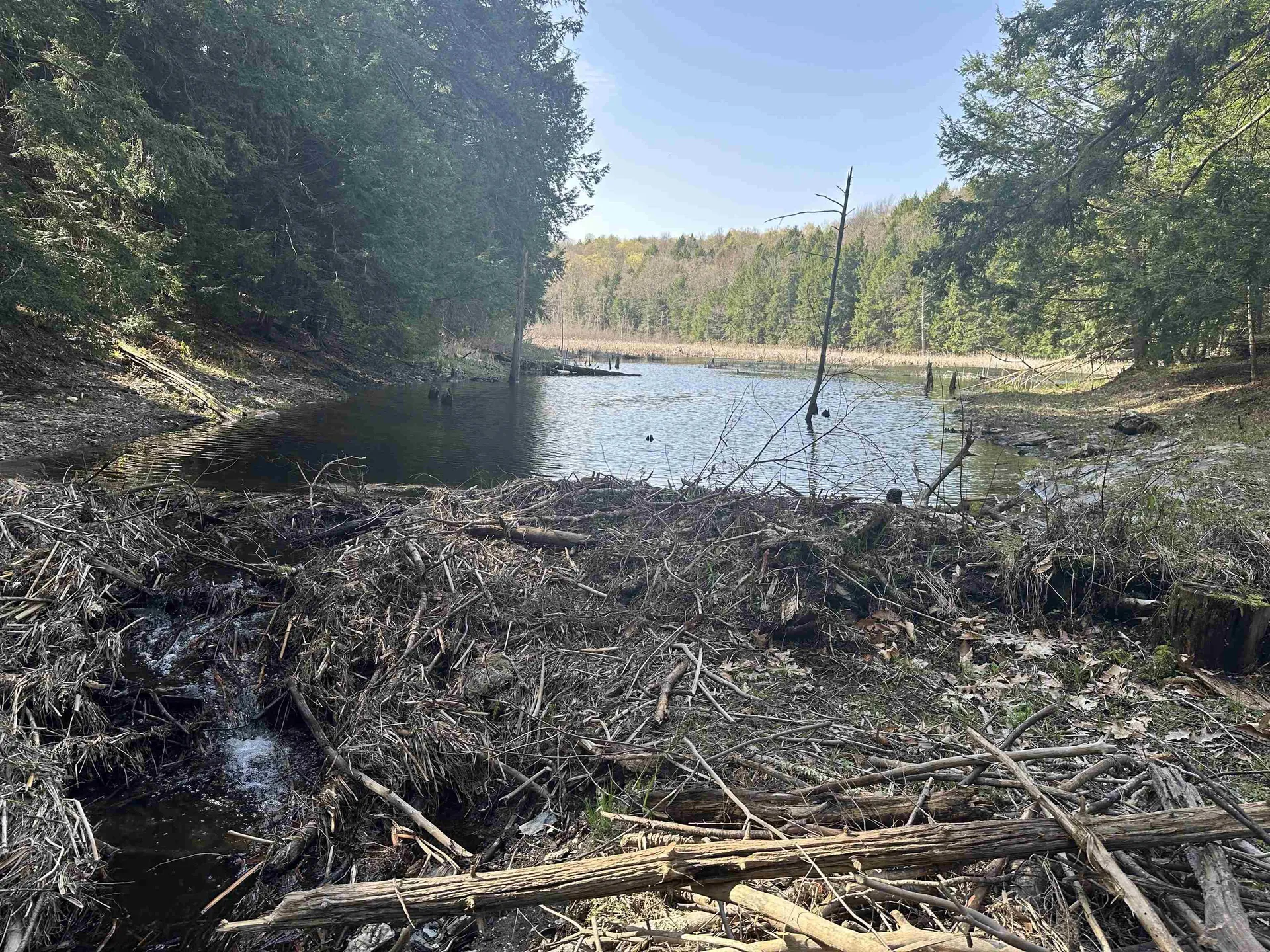 603 Anderson Drive Hubbardton VT 05743