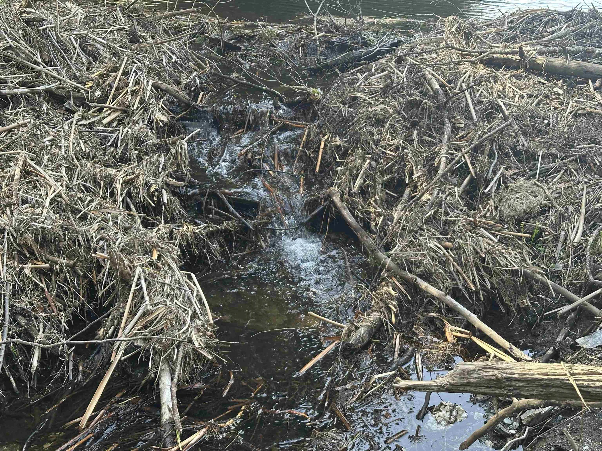 603 Anderson Drive Hubbardton VT 05743