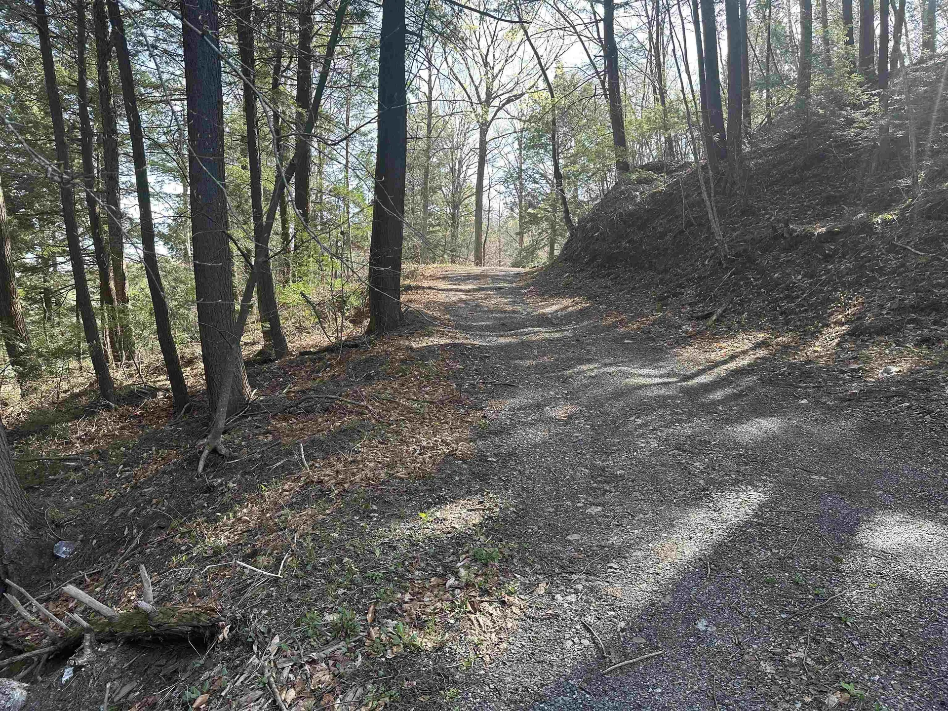 603 Anderson Drive Hubbardton VT 05743