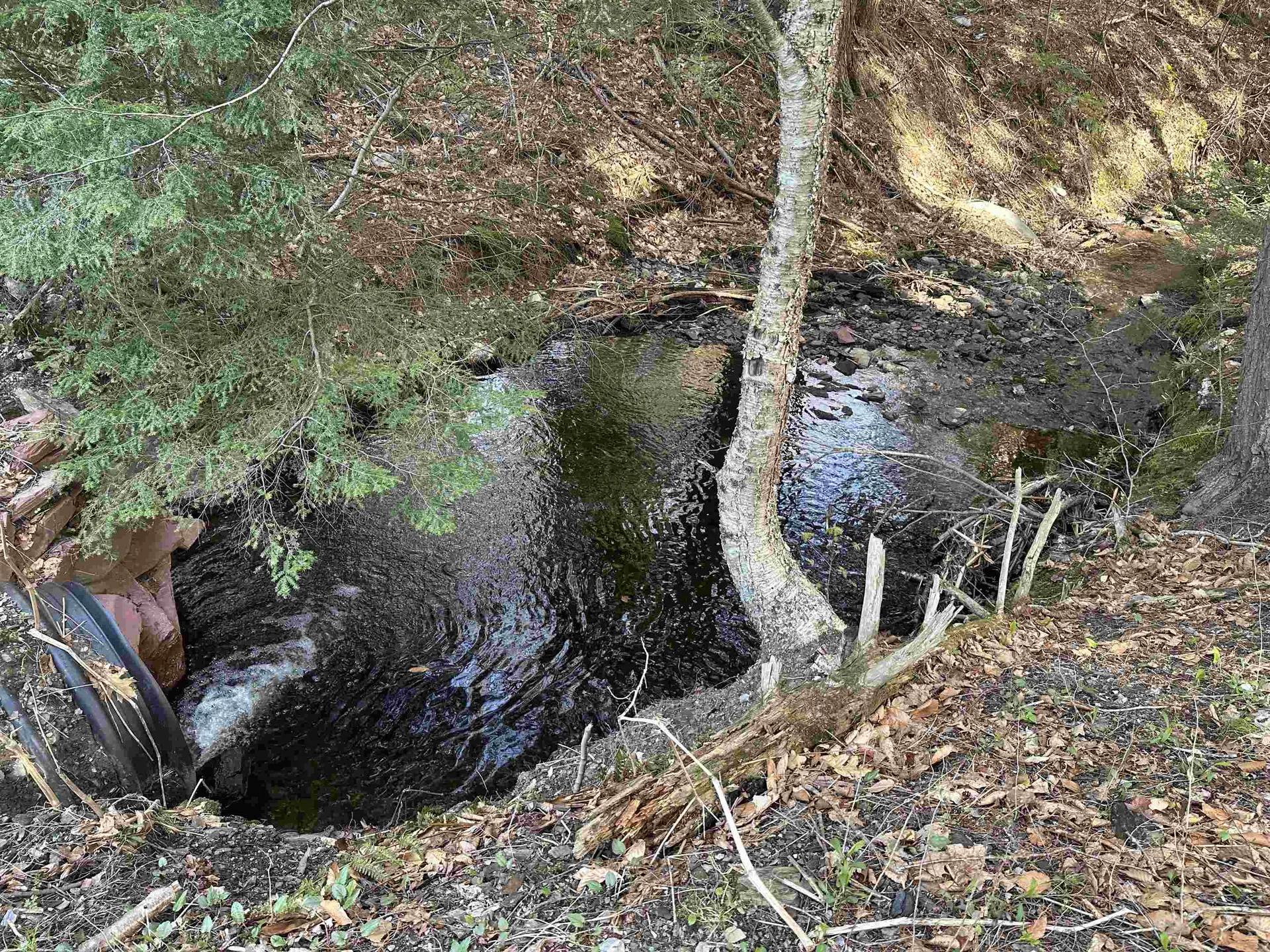 603 Anderson Drive Hubbardton VT 05743