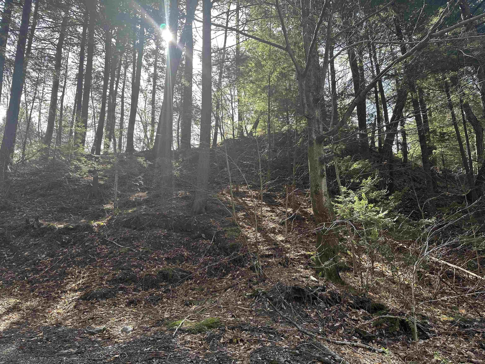 603 Anderson Drive Hubbardton VT 05743