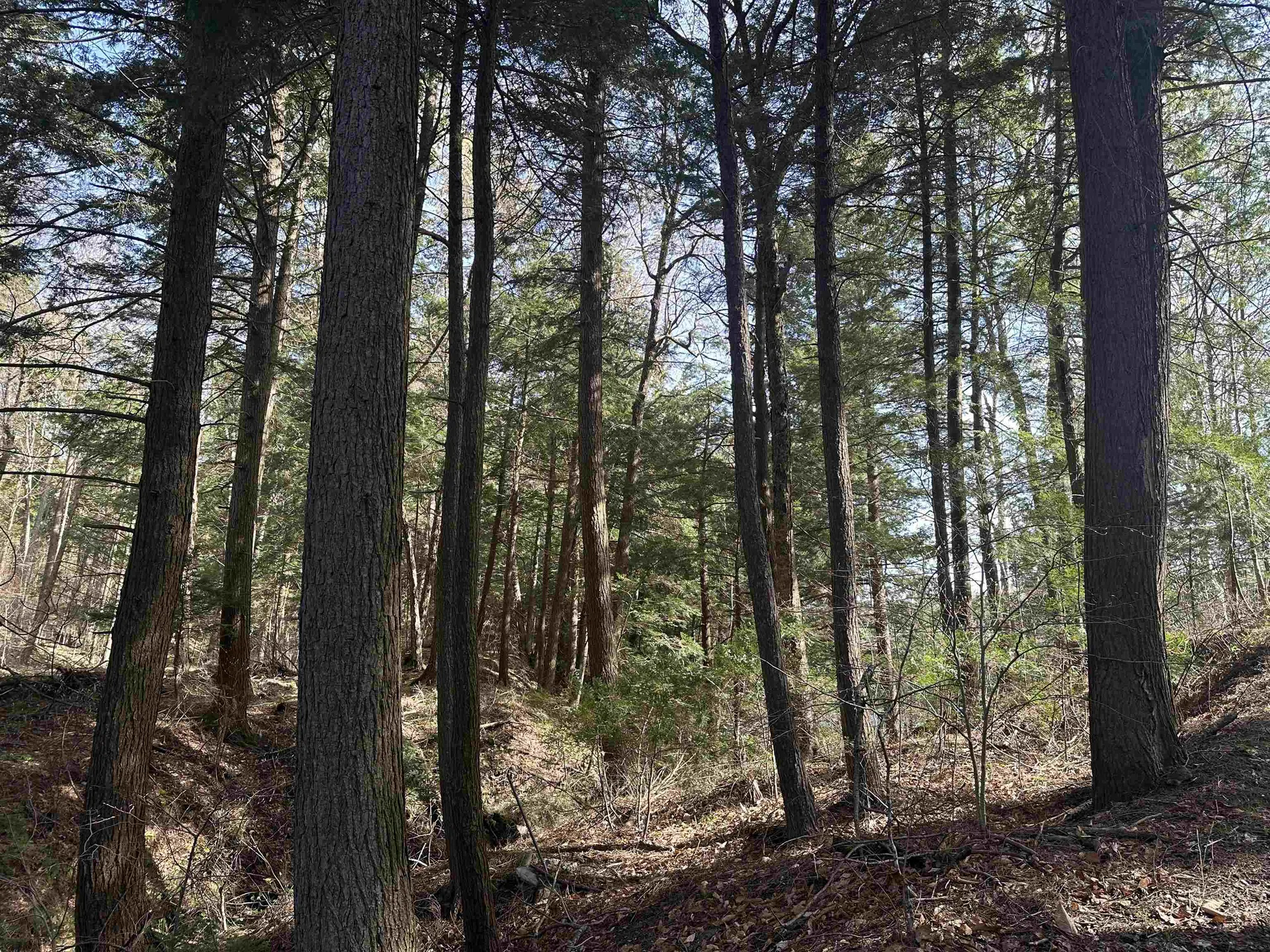 603 Anderson Drive Hubbardton VT 05743