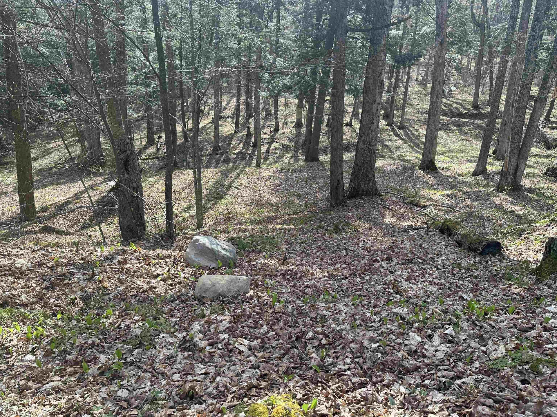 603 Anderson Drive Hubbardton VT 05743