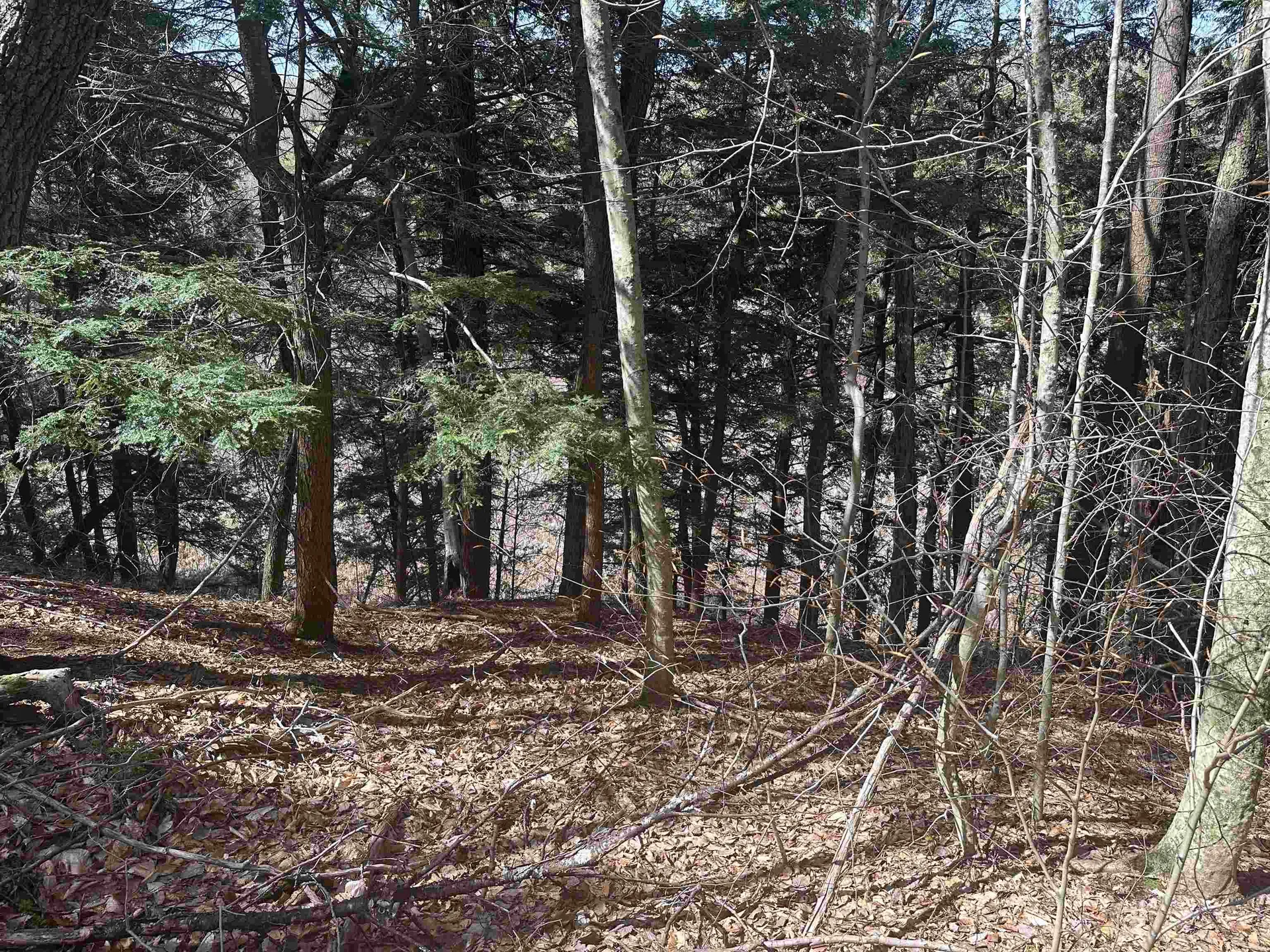 603 Anderson Drive Hubbardton VT 05743