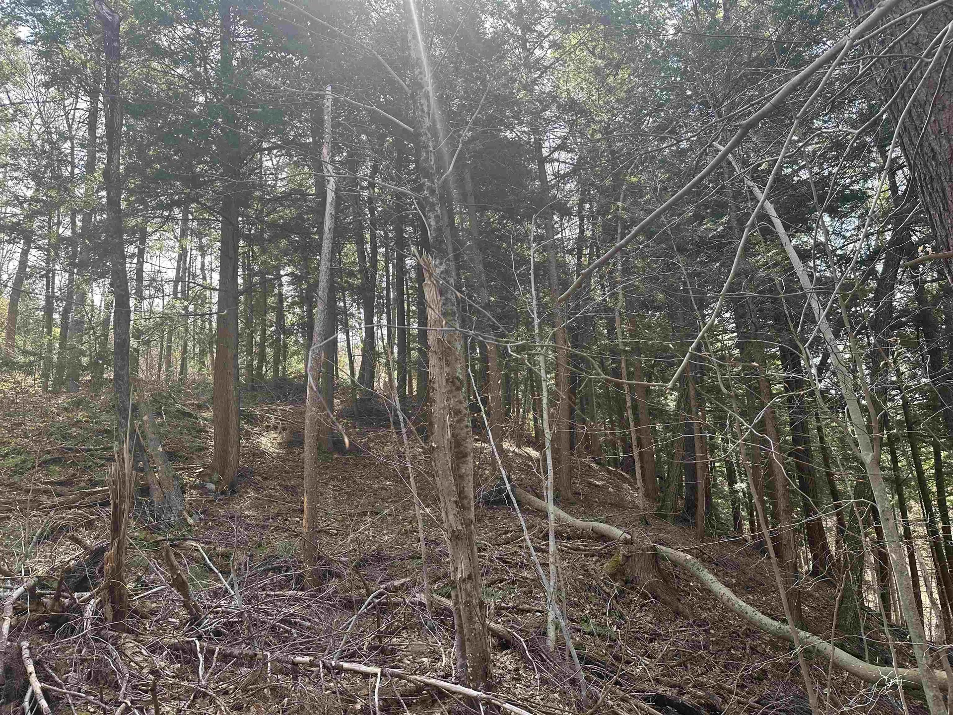 603 Anderson Drive Hubbardton VT 05743