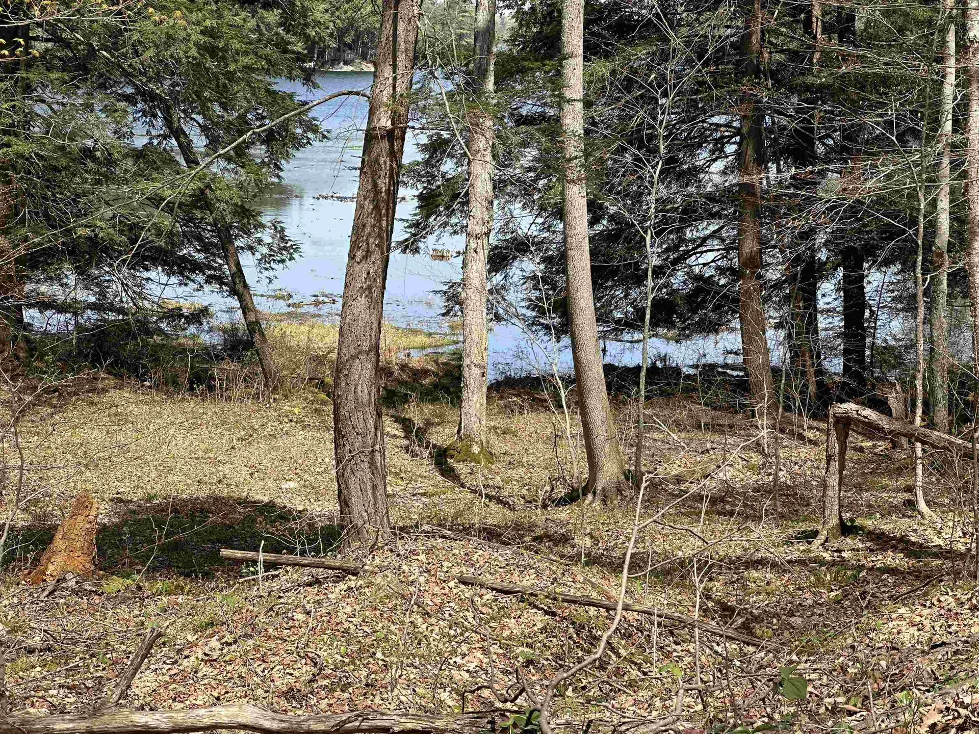 603 Anderson Drive Hubbardton VT 05743