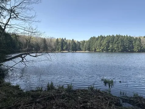 603 Anderson Drive Hubbardton VT 05743