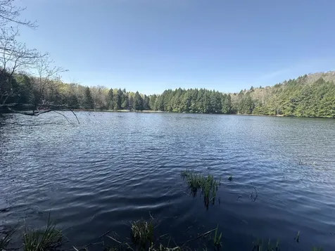 603 Anderson Drive Hubbardton VT 05743