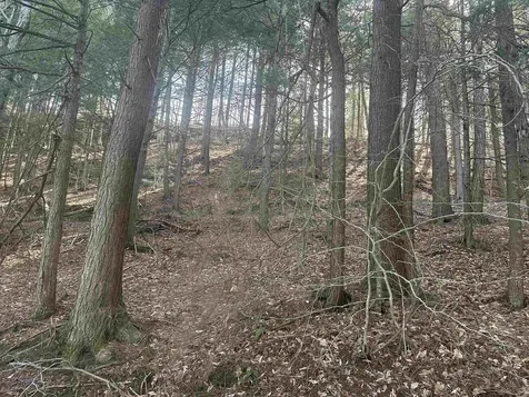 603 Anderson Drive Hubbardton VT 05743