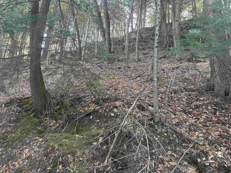 603 Anderson Drive Hubbardton VT 05743