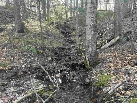 603 Anderson Drive Hubbardton VT 05743