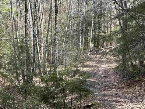 603 Anderson Drive Hubbardton VT 05743