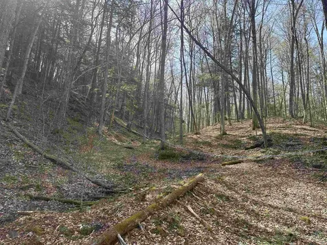 603 Anderson Drive Hubbardton VT 05743