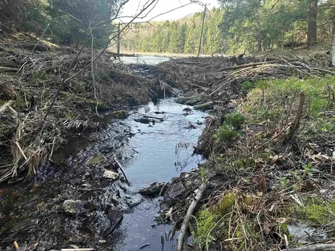 603 Anderson Drive Hubbardton VT 05743