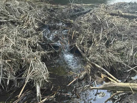 603 Anderson Drive Hubbardton VT 05743